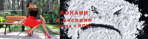 spice Няндома