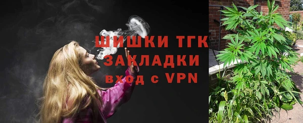 spice Няндома