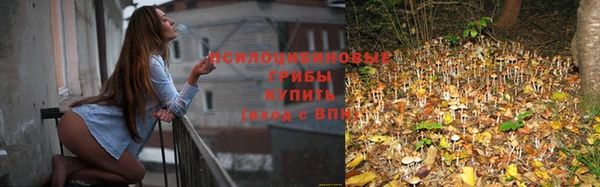 кокаин Новозыбков
