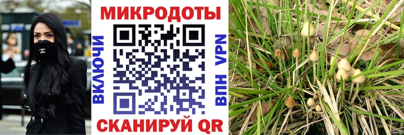 Псилоцибиновые грибы Psilocybine cubensis  магазин    ссылка на мегу зеркало  Трубчевск 
